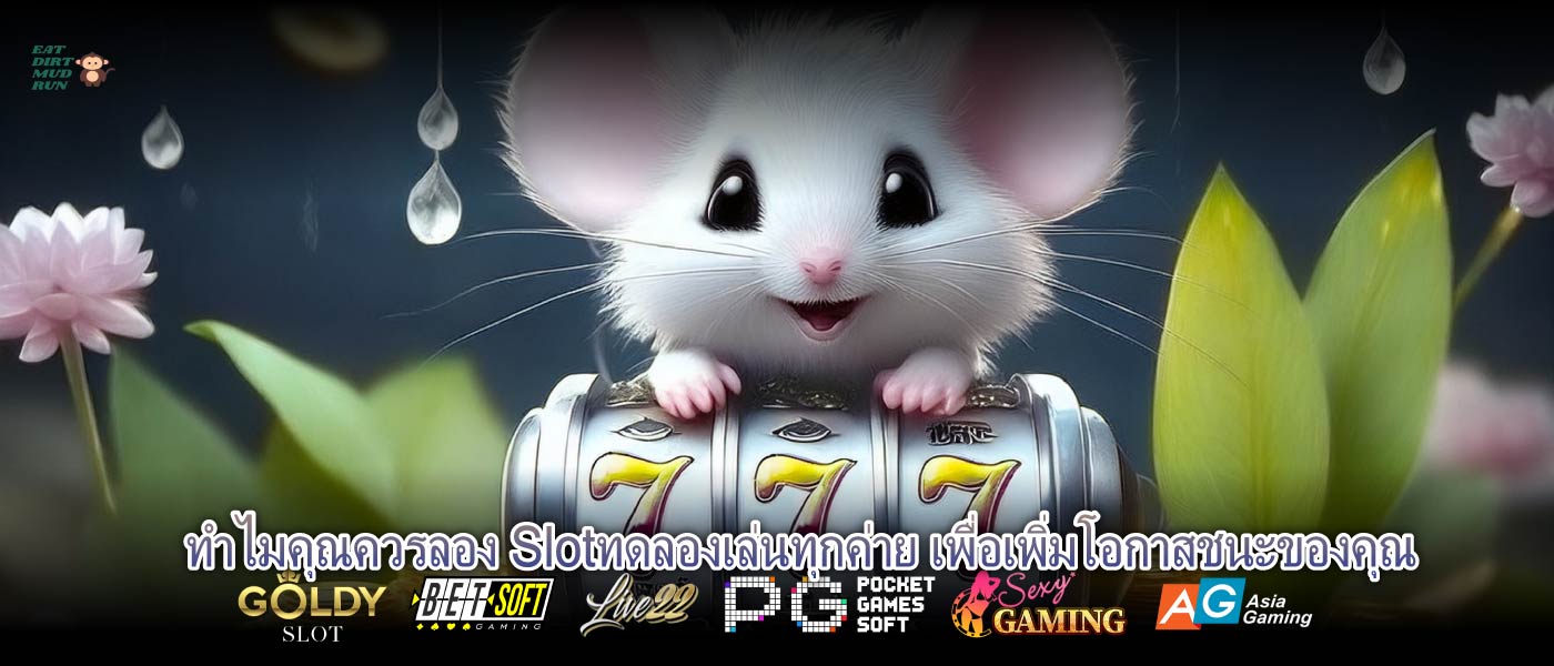 ทำไมคุณควรลอง Slotทดลองเล่นทุกค่าย เพื่อเพิ่มโอกาสชนะของคุณ